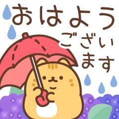 ぉはょ ~?