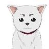 30日出勤します(｀･ω･´)ゞ