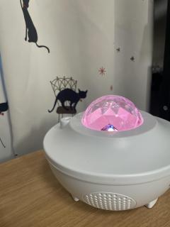 本日も