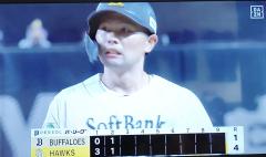 ⚾️野球三昧