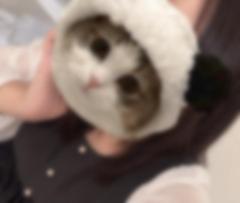 地味に嬉しい?