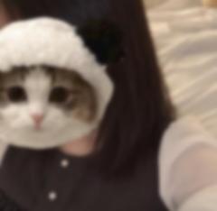 そろそろ?? ?. .????