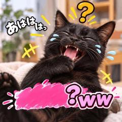 JaPON　園子ｿﾉｺ