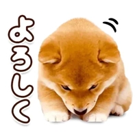 到着しました