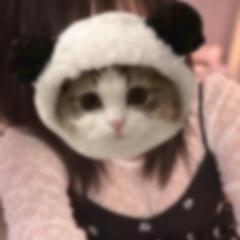 つぎは11時10分です♪