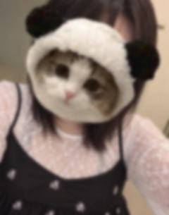 まだ〇
