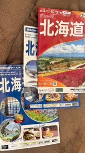 熟女の風俗アウトレット都城店　わーこ