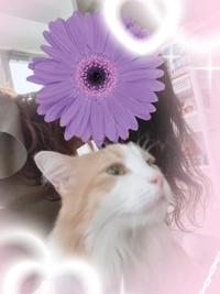  ゆうか