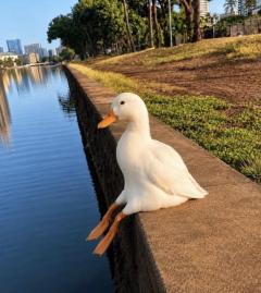 申し訳ございません