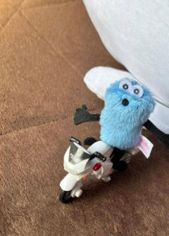 今日は暑かったね?