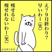大分・別府ちゃんこ三川店　