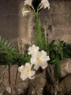 昭和（沖縄・完全個室プライベートエステ）(那覇市) 赤嶺春歌