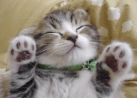 なんと…！！