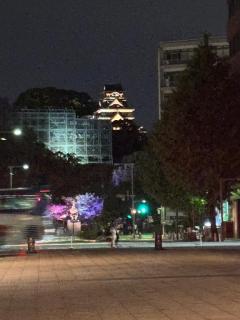 リラリラ　