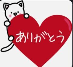 みたよー