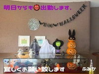 宮崎ちゃんこ都城店　ふみか