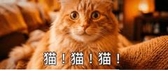 どうちた?=の〜?