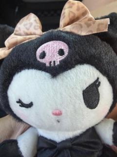 今日から！
