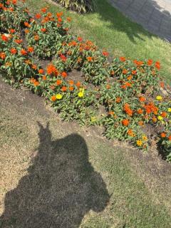  ♡ミサ♡