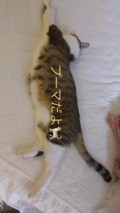 昭和（沖縄・完全個室プライベートエステ）(メンズエステ) 与那嶺綾子