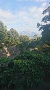  さや 