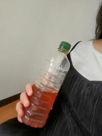 ありがとうございました