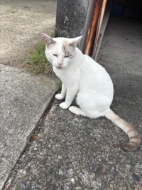 また.いたょ。