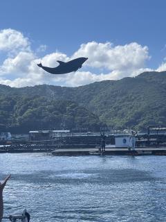 さくら(大分市) ゆり　(濃密巧妻)