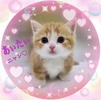 只今、準備中です♪