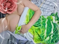 ロール白菜