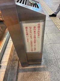 宮崎ちゃんこ中央通店(宮崎市) さな