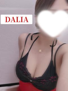 DALIA(ダリア)　アンリ