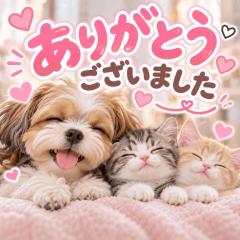 La Rouge　新人・りの