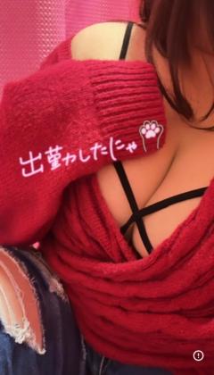 ?本日?