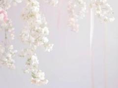 MANIN-ONREIマン淫御礼　美織（みおり）尽くして悦ぶ清楚系ドM妻♡