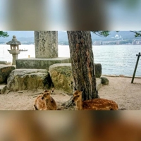 薩摩♂風俗の神様鹿児島店　