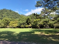 待ちナビ(福岡市) のりこ