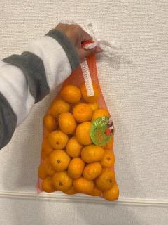 第2回目の