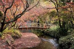 一夜の愛人　もか
