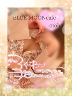 BLUE MOON cafe　桜葉(おとは)変態神エロ新人
