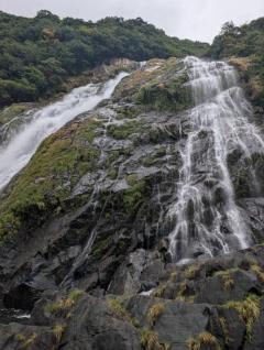 鹿児島ちゃんこ 天文館店　のぞみ