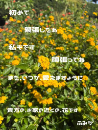 宮崎ちゃんこ都城店　ふみか