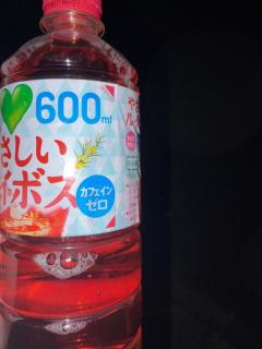 鹿児島ちゃんこ 天文館店　ありす