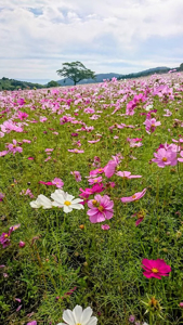 薩摩♂風俗の神様鹿児島店　さや 