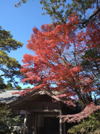 薩摩♂風俗の神様鹿児島店　さや 