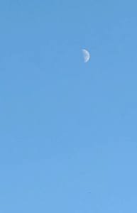 沖縄本舗　キキ