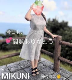 人妻ステーションポータブル　みくに