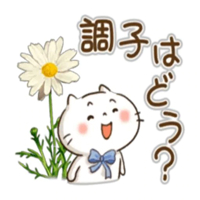 宮崎ちゃんこ都城店　すみれ