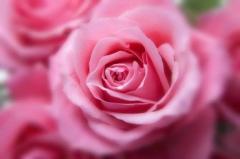 爆安＜元祖＞どすこい倶楽部　★体験みさき★宮崎店