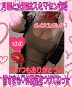  サクラSakura
